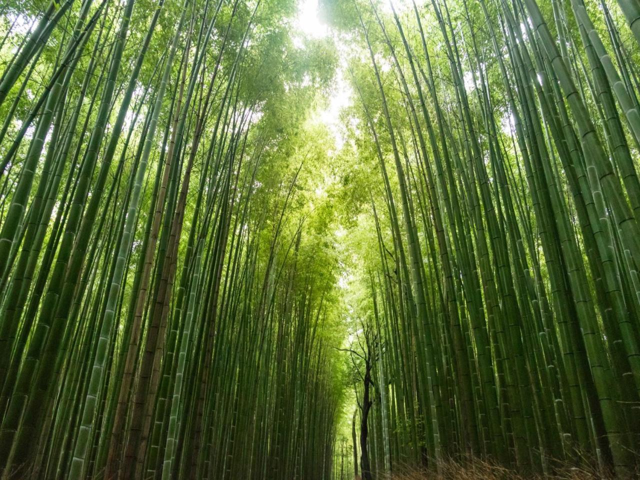 Kyoto Machiyado Shijokarasuma Hotel Kültér fotó